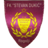 Stevan Dukić