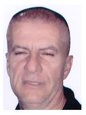 Zoran Radulović — vezni red